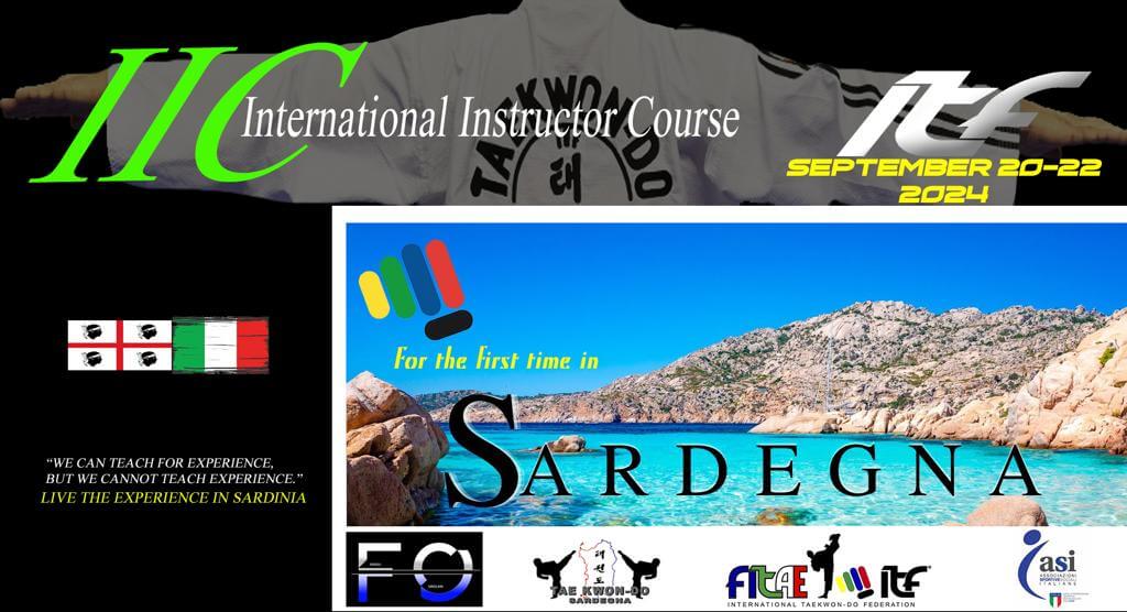 IIC flyer - Arch Combat Academy Wembley Park Taekwon-Do Martial Arts Carlo Martinelli