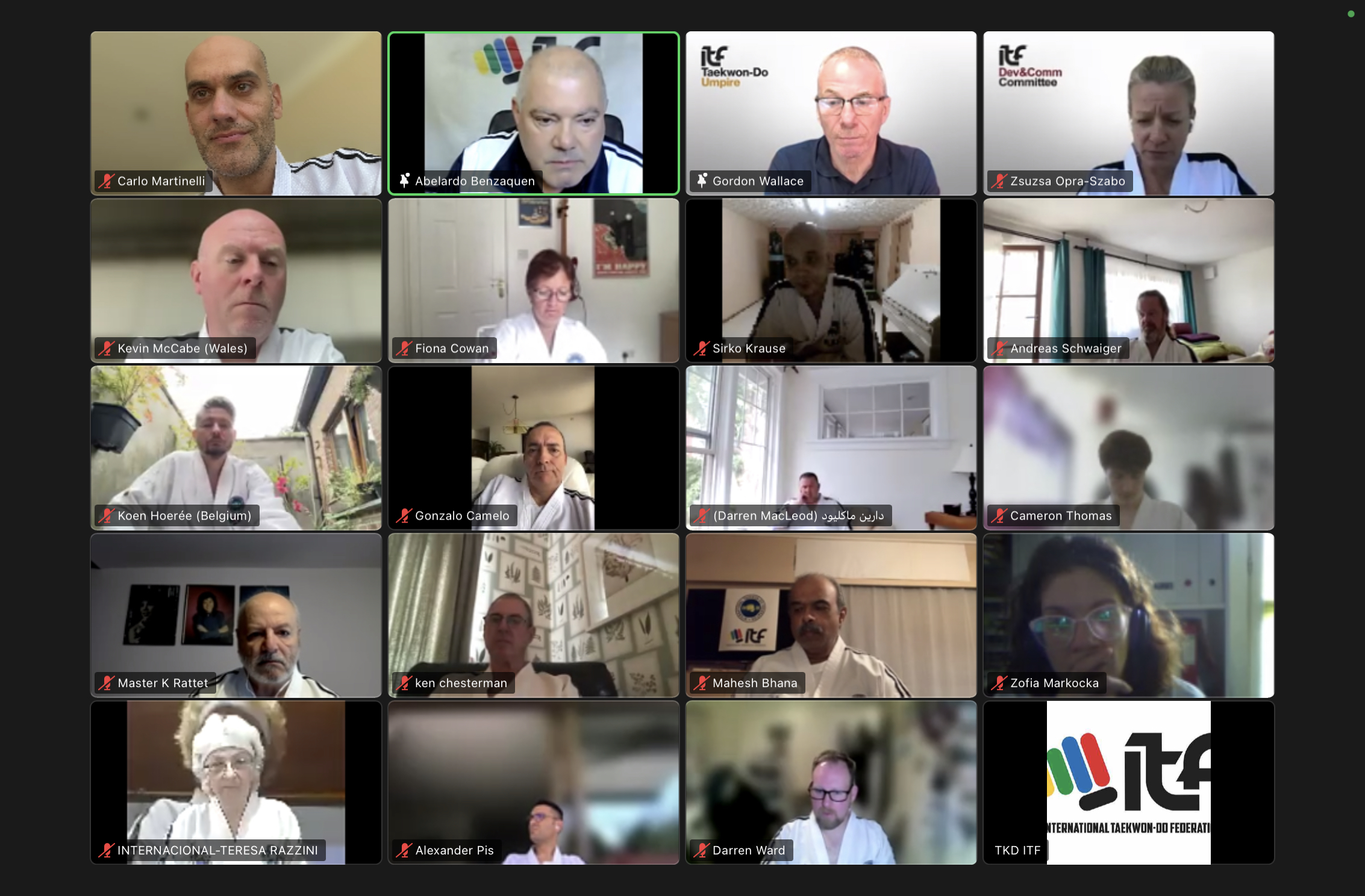 IUC online 2 - Arch Combat Academy Wembley Park Taekwon-Do Martial Arts Carlo Martinelli